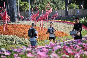 BIB: 
                            <button type="button" onclick="openModal(27769742)" class="btn btn-primary btn-sm float-right btn-popup" data-toggle="modal" data-target=".modal-high-quality">
                        <i class="fas fa-shopping-cart"></i> Add to Cart
                    </button>
                                            <button type="button" onclick="isThisMe(27769742, true)" class="btn btn-success btn-sm float-right btn-popup btn-isme hidden" data-toggle="tooltip" data-placement="bottom" title="นี่คือรูปของคุณใช่ไหม คลิกที่นี่เพื่อเอาเข้าอัลบั้ม">
                        <i class="fas fa-plus"></i> Add to album
                    </button>
                    <button type="button" onclick="isThisMe(27769742, false)" class="btn btn-warning btn-sm float-right btn-popup btn-isnotme hidden">
                        <i class="fas fa-ban"></i> Remove from album
                    </button>